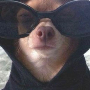 Meet your Posher, Mia